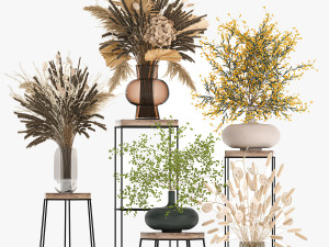 collection of bouquets of dried flowers 216 3D मॉडल
