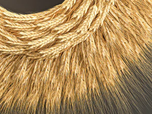 wheat ears wall wreath 217 3D Model