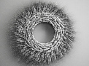 wheat ears wall wreath 217 3D Модель