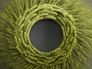 wheat ears wall wreath 218 3D Model