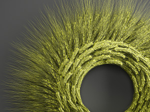 wheat ears wall wreath 218 3D Model