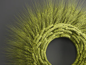 wheat ears wall wreath 218 3D Model