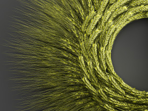 wheat ears wall wreath 218 3D Model
