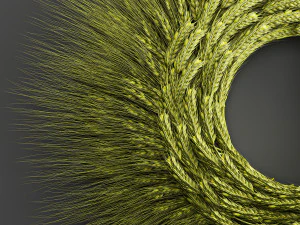 wheat ears wall wreath 218 3D Model