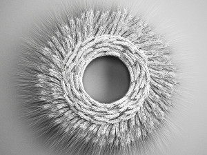 wheat ears wall wreath 218 3D Model