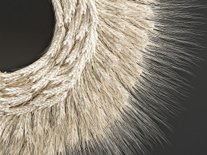 wheat ears wall wreath 219 3D मॉडल