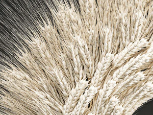 guirlanda de parede com espigas de trigo 219 Modelo 3D