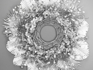 wall wreath of dried flowers 221 Modelo 3D