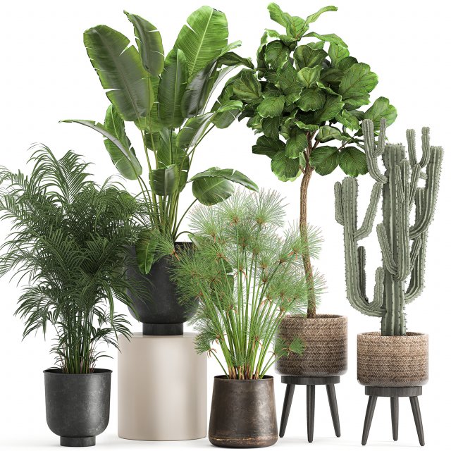 plants in a metal flowerpot for the interior 1079 3Dモデル .c4d .max .obj .3ds .fbx .stl .blend 