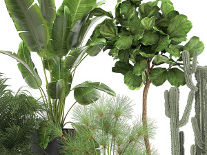 plants in a metal flowerpot for the interior 1079 3Dモデル