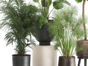 plants in a metal flowerpot for the interior 1079 3D Model