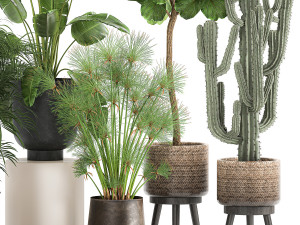 plants in a metal flowerpot for the interior 1079 3Dモデル