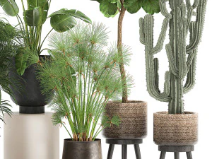 plants in a metal flowerpot for the interior 1079 3D Model