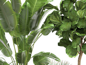 plants in a metal flowerpot for the interior 1079 3Dモデル
