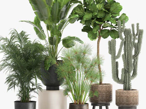 plants in a metal flowerpot for the interior 1079 3D Model