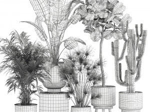 plants in a metal flowerpot for the interior 1079 3Dモデル