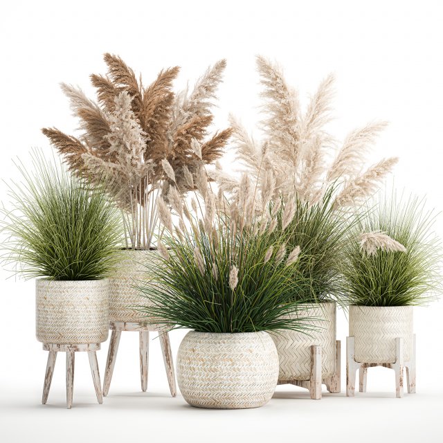 ornamental plants in white rattan baskets 1080 3D Модель .c4d .max .obj .3ds .fbx .stl .blend 