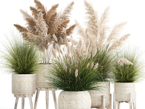 ornamental plants in white rattan baskets 1080 3D Models