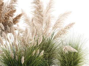 ornamental plants in white rattan baskets 1080 3D Модель