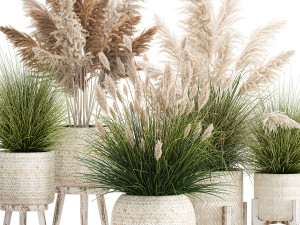 ornamental plants in white rattan baskets 1080 3D Модель