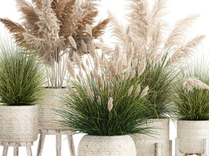 ornamental plants in white rattan baskets 1080 3D Model