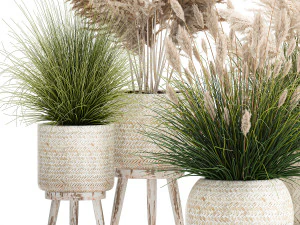ornamental plants in white rattan baskets 1080 3D Model
