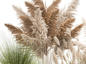 ornamental plants in white rattan baskets 1080 3D Модель