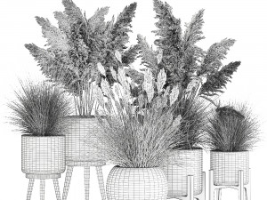 ornamental plants in white rattan baskets 1080 3D Модель