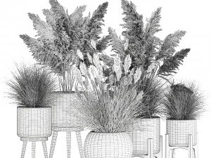 ornamental plants in white rattan baskets 1080 3D Model