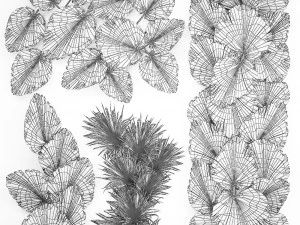 wall panel made of dry palm leaves 226 3D Model