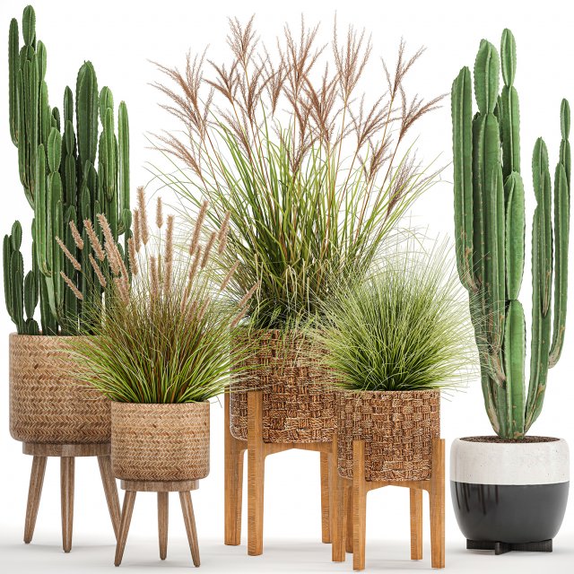 ornamental plants in rattan baskets 1081 3D Model .c4d .max .obj .3ds .fbx .stl .blend 