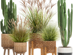 ornamental plants in rattan baskets 1081 3D Model