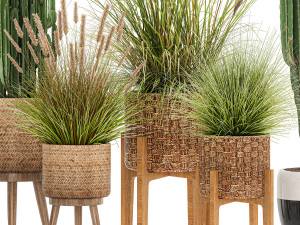 ornamental plants in rattan baskets 1081 3D Model