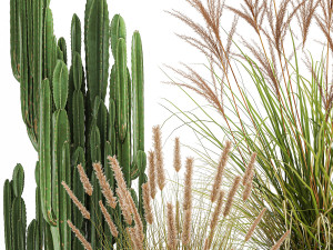 ornamental plants in rattan baskets 1081 3D Model