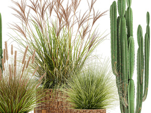 ornamental plants in rattan baskets 1081 3D Model