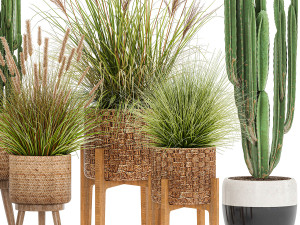 ornamental plants in rattan baskets 1081 3D Model