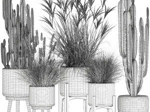 ornamental plants in rattan baskets 1081 3D Model