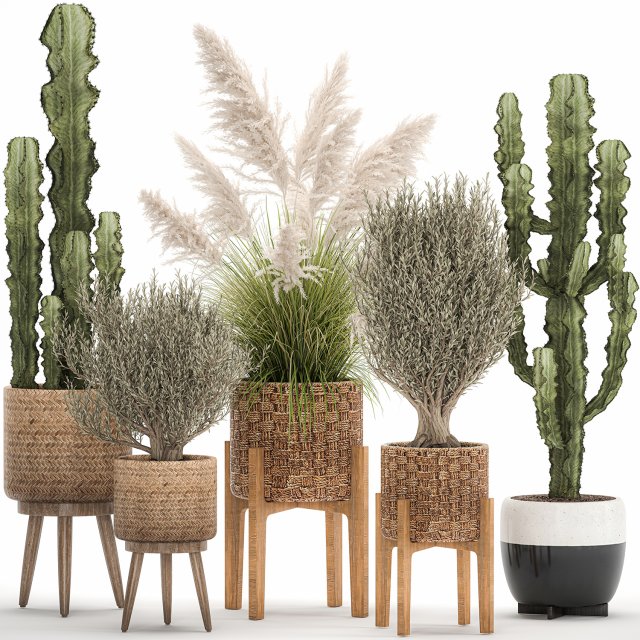 ornamental plants in rattan baskets 1082 3Dモデル .c4d .max .obj .3ds .fbx .stl .blend 