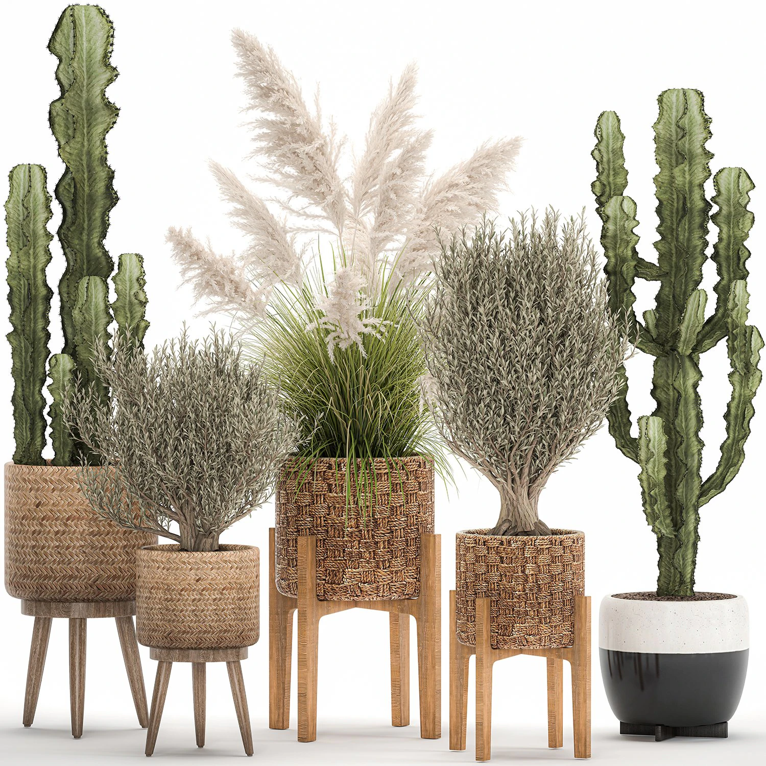 ornamental plants in rattan baskets 1082 3D Model .c4d .max .obj .3ds .fbx .stl .blend 