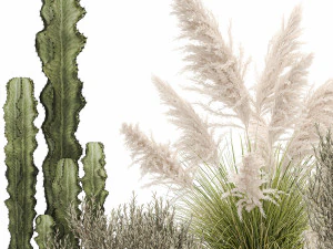ornamental plants in rattan baskets 1082 3D Model