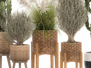 ornamental plants in rattan baskets 1082 3D Model
