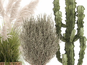 ornamental plants in rattan baskets 1082 3Dモデル