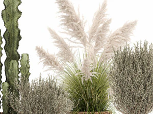 ornamental plants in rattan baskets 1082 3D Model