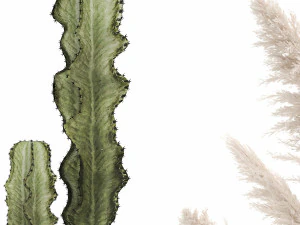 ornamental plants in rattan baskets 1082 3D Model