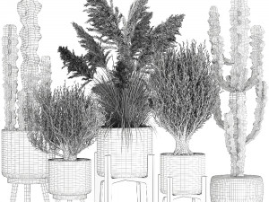 ornamental plants in rattan baskets 1082 3Dモデル