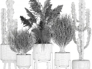 ornamental plants in rattan baskets 1082 3D Model