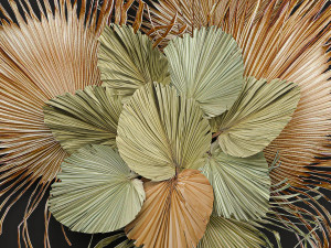 Wall decorations made of dry palm leaves 229 Modelo 3D