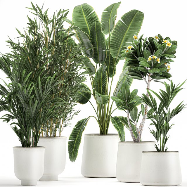 plants in a metal flowerpot for the interior 1083 3D 模型 .c4d .max .obj .3ds .fbx .stl .blend 