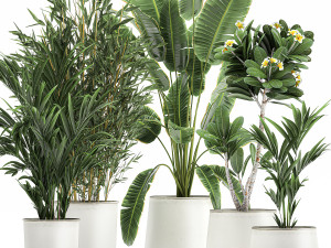 plants in a metal flowerpot for the interior 1083 3D Model