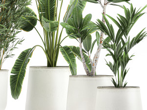 plants in a metal flowerpot for the interior 1083 3D 模型
